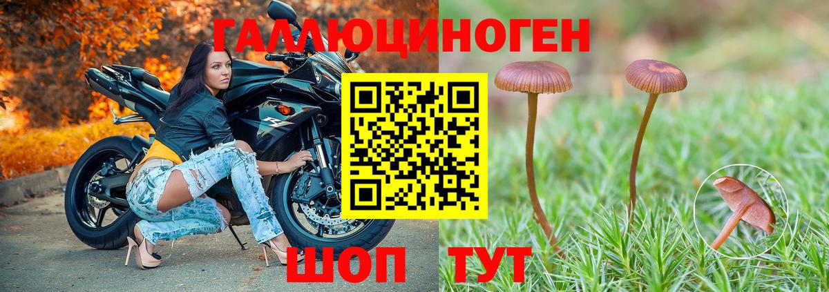 Галлюциногенные грибы ЛСД  Псилоцибиновые грибы Cubensis  Вход с VPN  цена наркотик  Новоуральск 