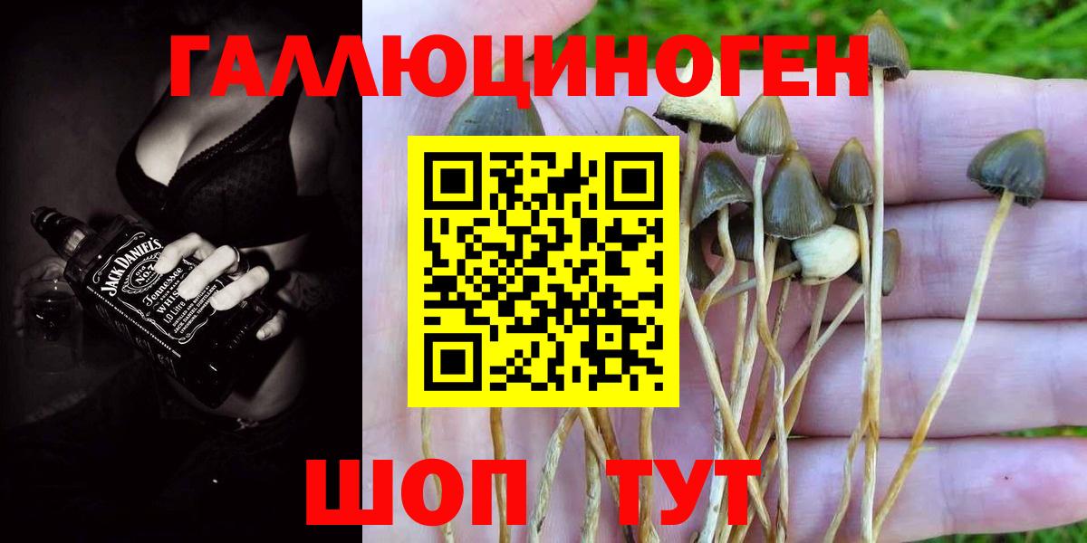 Псилоцибиновые грибы GOLDEN TEACHER Новоуральск